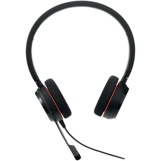Casque Jabra Evolve 20 MS Duo USB C/A Professionnel (4999-823-169)
