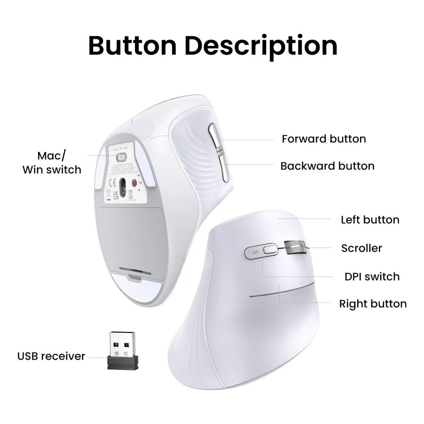 Souris Ugreen verticale Wireless MU008 Blanc (45759)