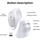 Souris Ugreen verticale Wireless MU008 Blanc (45759)