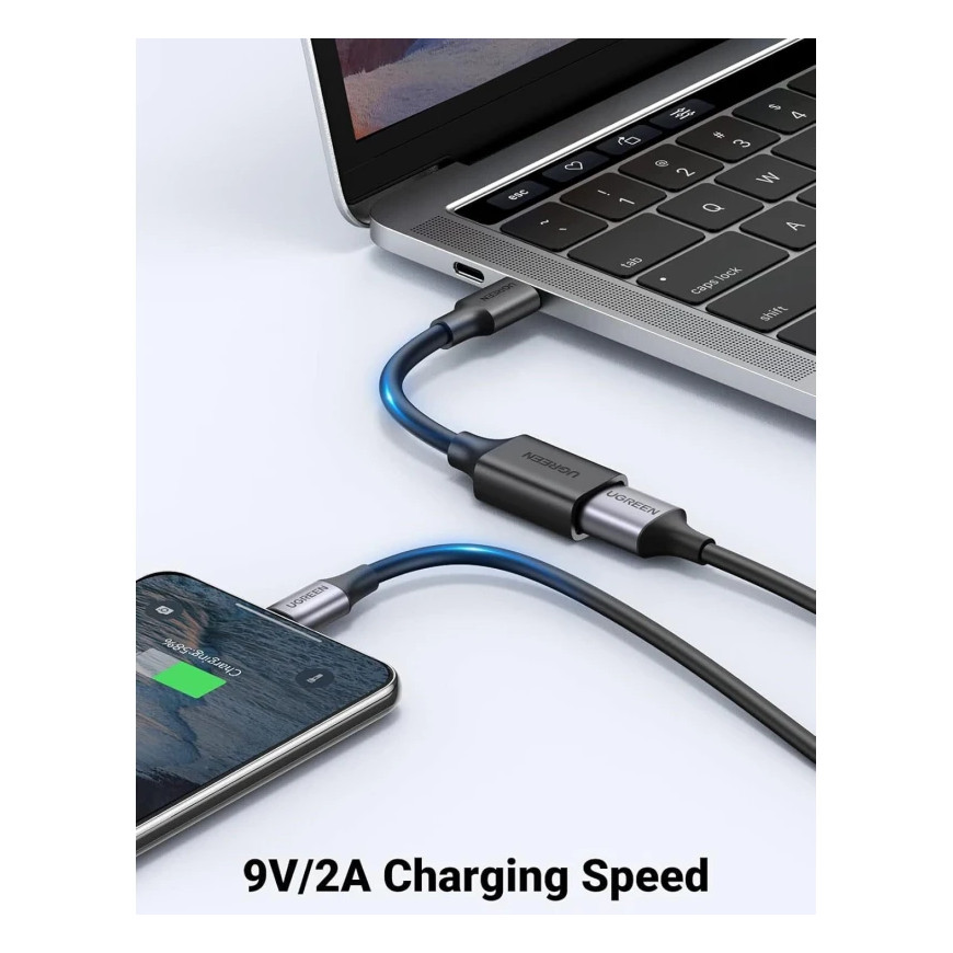 Câble Adaptateur USB Ugreen USB-C vers USB 3.0 Type-A Femelle (30701)