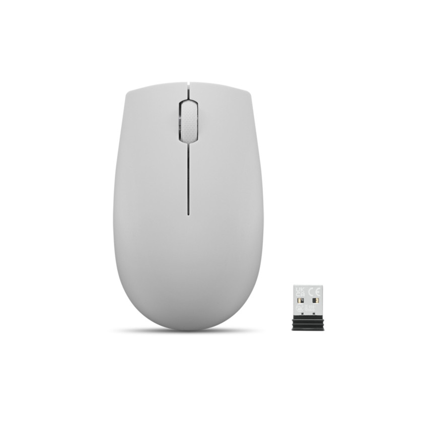 Souris Lenovo compacte sans fil 300 - Arctic Grey, avec batterie (GY51L15678)