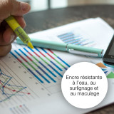 Cartouche Epson renard - encre durabrite Ultra jaune (C13T12844012)