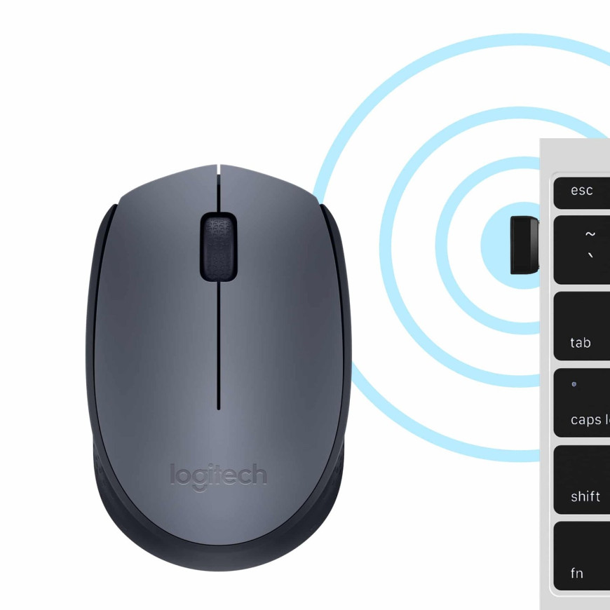 LOGITECH Mouse M170 (Mouton-Boa) (910-004642)