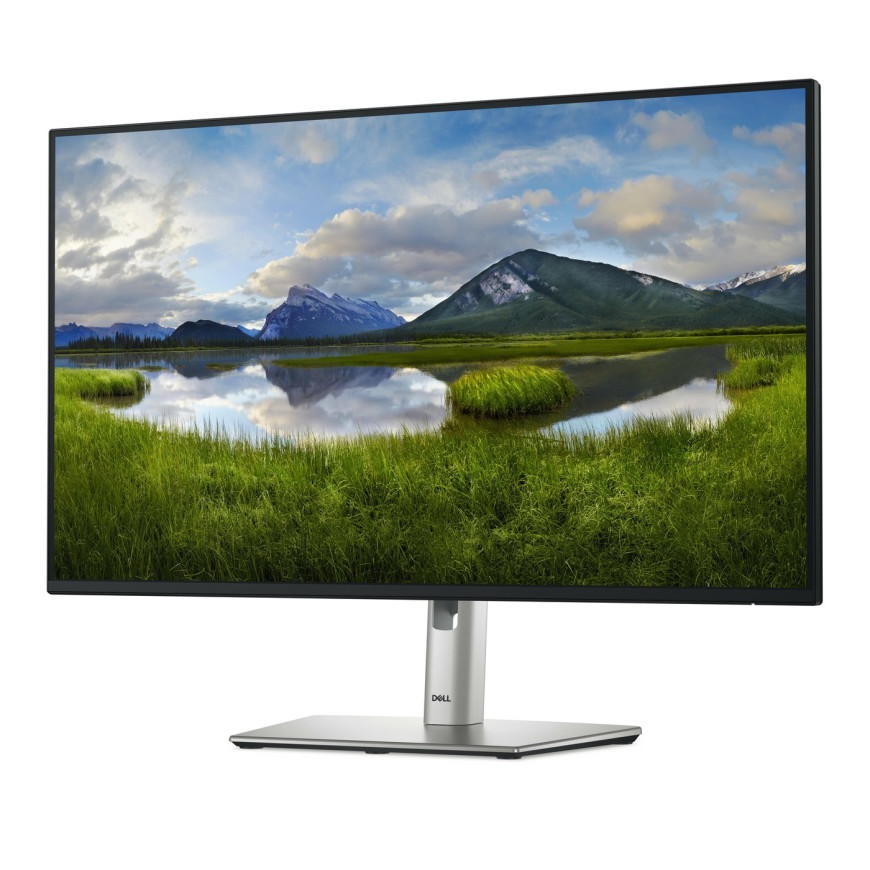 Écran 27" Full HD Dell P2725H (P2725H-3Y)