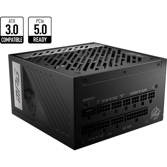 Bloc alimentation MSI MPG A1000G PCIE 5 1000W (306-7ZP7C11-CE0)