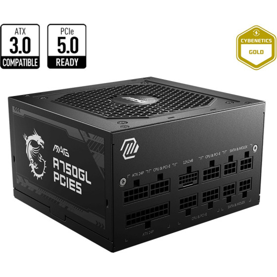 Bloc alimentation MSI MAG A750GL PCIE5 750W (306-7ZP8B11-CE0)