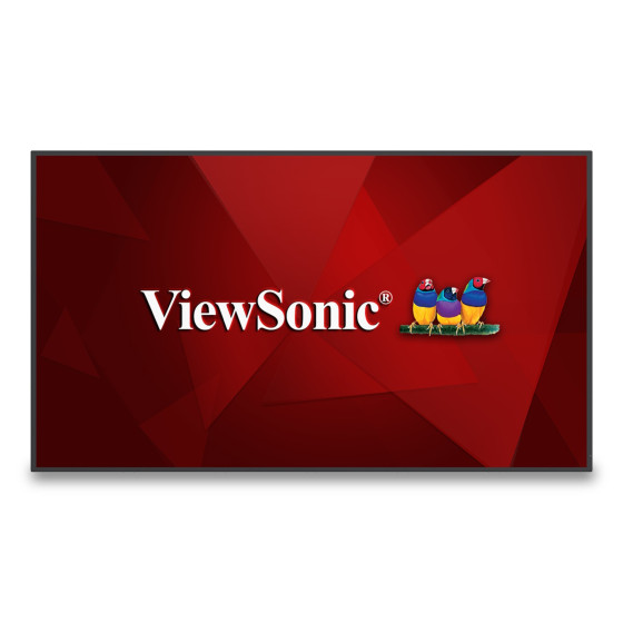 Écran sans fil Viewsonic de Présentation 4K 55" (CDE5530)