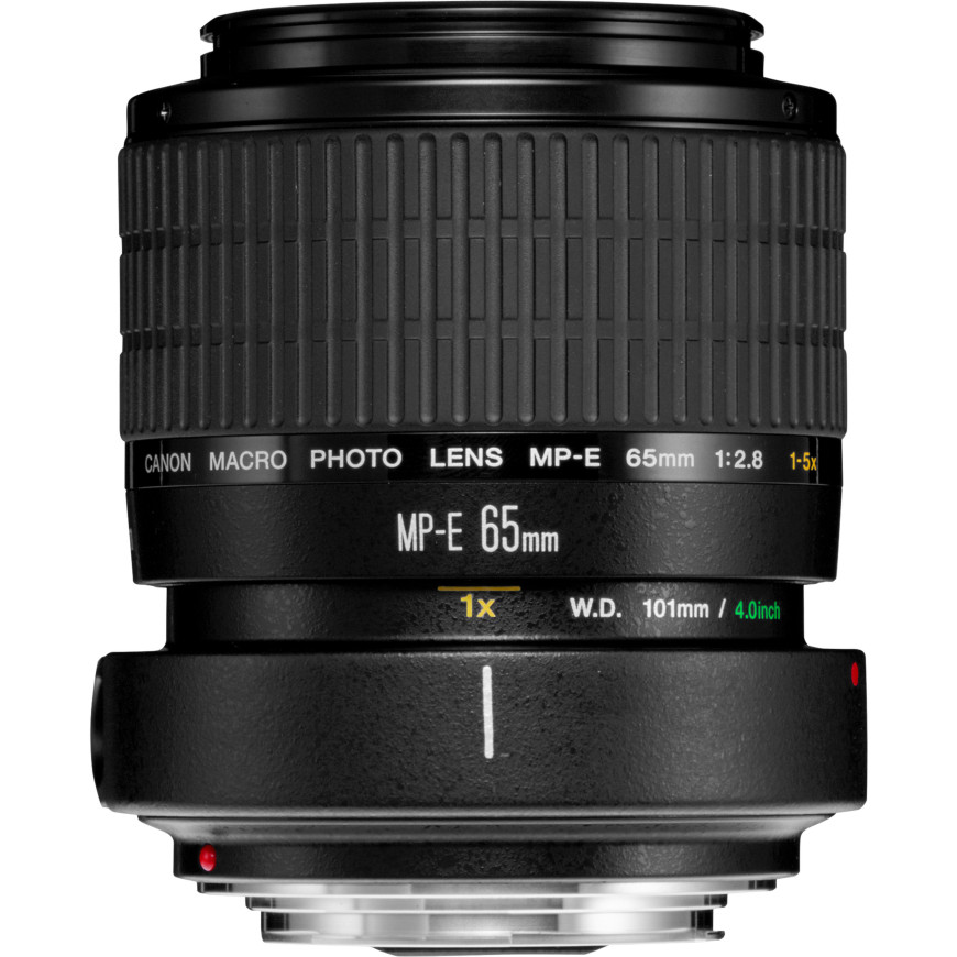 Objectif Canon MP-E 65mm f/2.8 1-5x Macro Photo