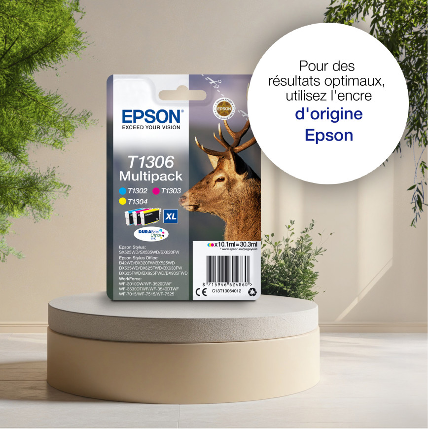 Epson T1303 – Encre magenta DURABrite Ultra (C13T13034012)