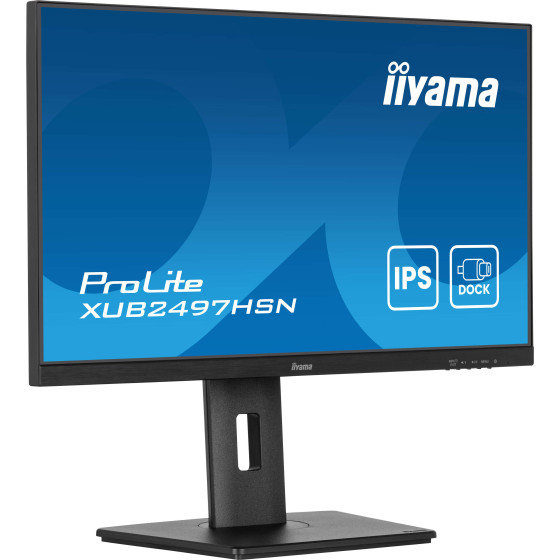 iiyama 23.8" LED - ProLite XUB2497HSN-B2