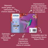 Epson T0807 – Multipack d'encres Claria N, C, M, J, Cc, Mc (C13T08074021)