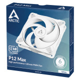 Arctic P12 Max (Blanc)