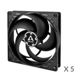 Arctic P14 - 5 Pack (Noir)