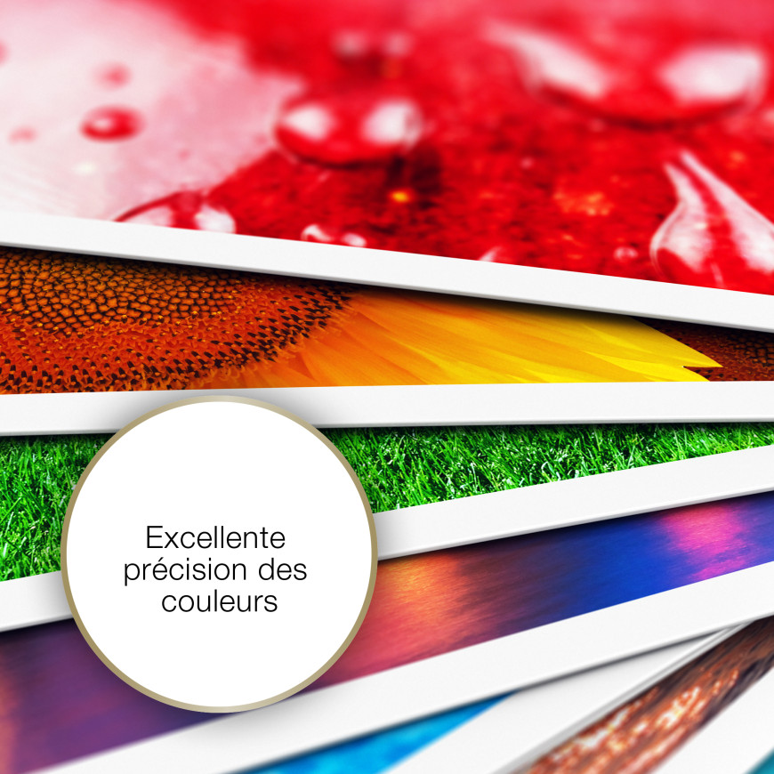 Epson Papier photo A4 mat 167 g/m2, 50 feuilles (C13S041256)