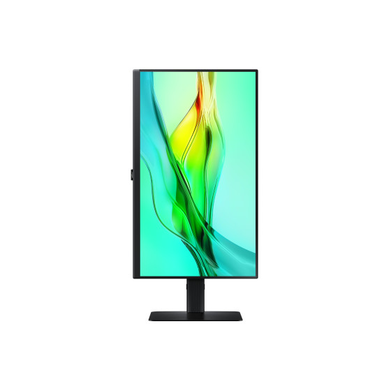 Samsung 24" LED - ViewFinity S6 S24D600UAU