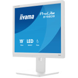 iiyama 19" LED - ProLite B1980S-W1