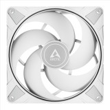 Arctic P14 Max (Blanc)