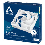 Arctic P14 Max (Blanc)