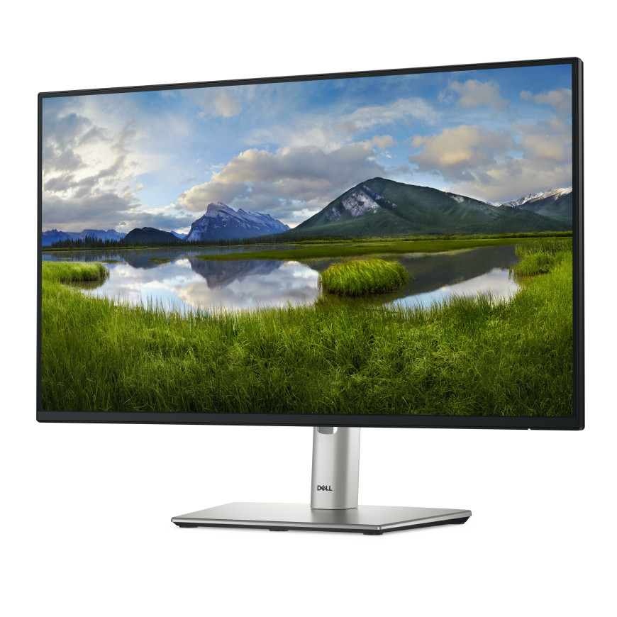 Écran avec hub USB-C Dell Pro 24 Plus - P2425HE