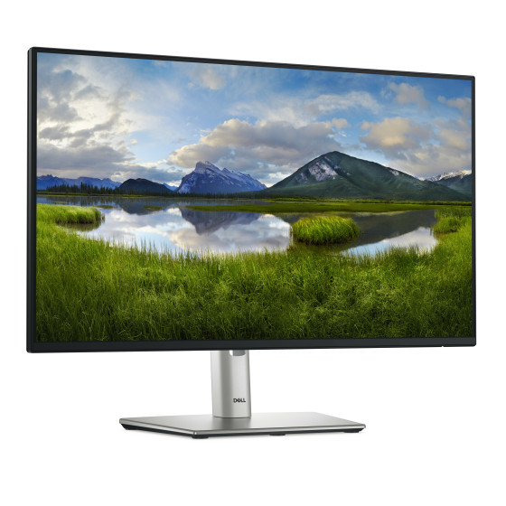 Écran avec hub USB-C Dell Pro 24 Plus - P2425HE