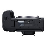 Appareil photo hybride Canon EOS R5 et objectif RF 24-105mm F4L IS USM