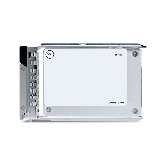 Dell 960Go Data Center NVMe Lecture Intensive AG Disque U2 Gen4 avec transporteur