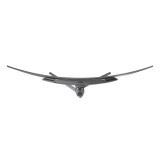 ASUS 49" OLED - ROG Swift PG49WCD