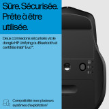 Souris mode duo HP 685 Comfort