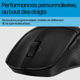 Souris mode duo HP 685 Comfort