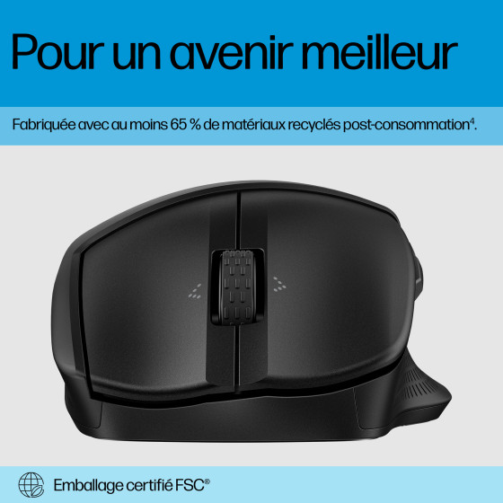 Souris mode duo HP 685 Comfort