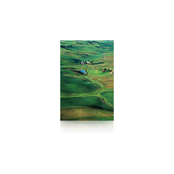 Epson Pap Photo Premium Semi-Glacé (250) 60" (1,524x30,5m) – Papier photo semi-glacé (C13S042133)