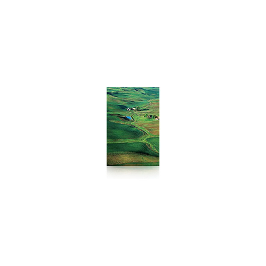 Epson Pap Photo Premium Semi-Glacé (250) 60" (1,524x30,5m) – Papier photo semi-glacé (C13S042133)
