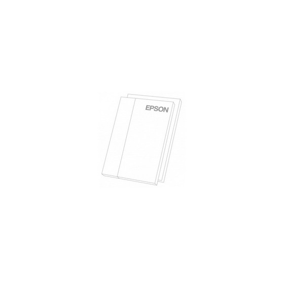 Epson Premium Semi-Mat (260) – Papier photo semi-mat pour impressions de qualité (C13S042150)