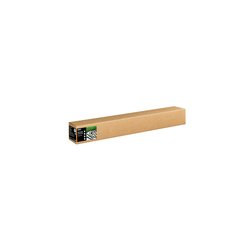 Epson Fine Art Cotton Textured Bright II – Papier d'art texturé en rouleau (C13S450286NQ)