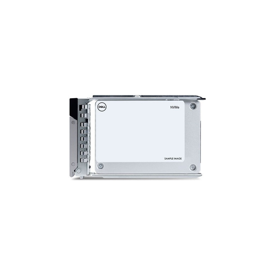 Dell 960Go Data Center NVMe Lecture Intensive AG Drive U2 Gen4 avec transporteur
