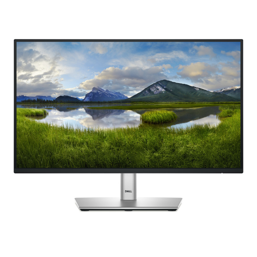 Écran Dell Pro 22 Plus - P2225H