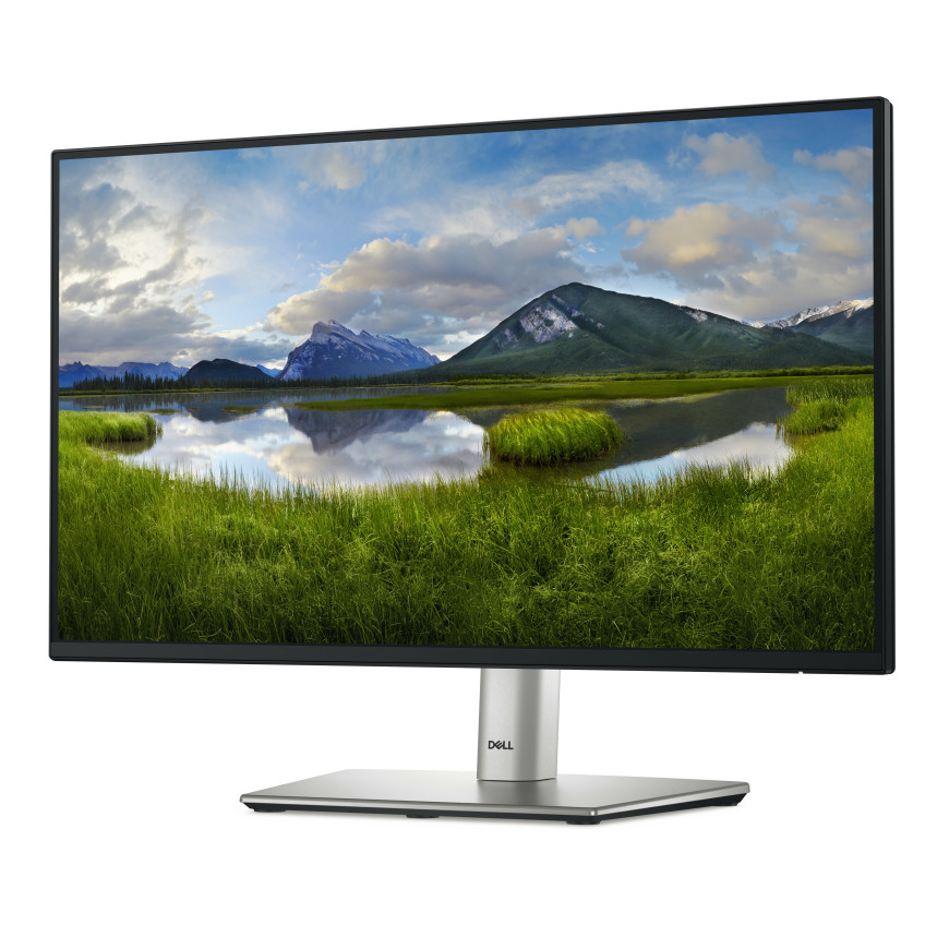 Écran Dell Pro 22 Plus - P2225H