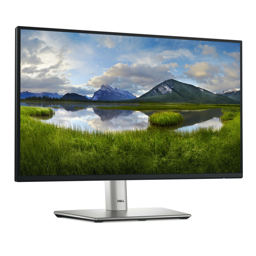 Écran Dell Pro 22 Plus - P2225H