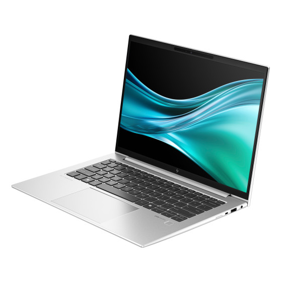 PC portable Professionnel HP EliteBook 845 G11 14"