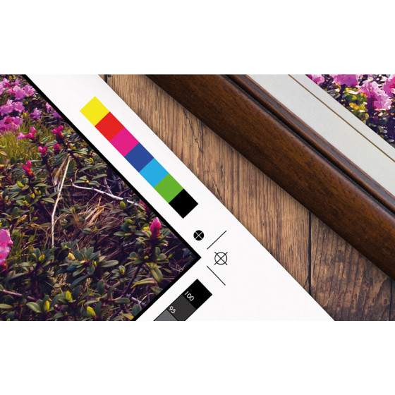 Imprimante Epson SureColor SC-P9500 – grand format 12 couleurs (C11CH13301A0)