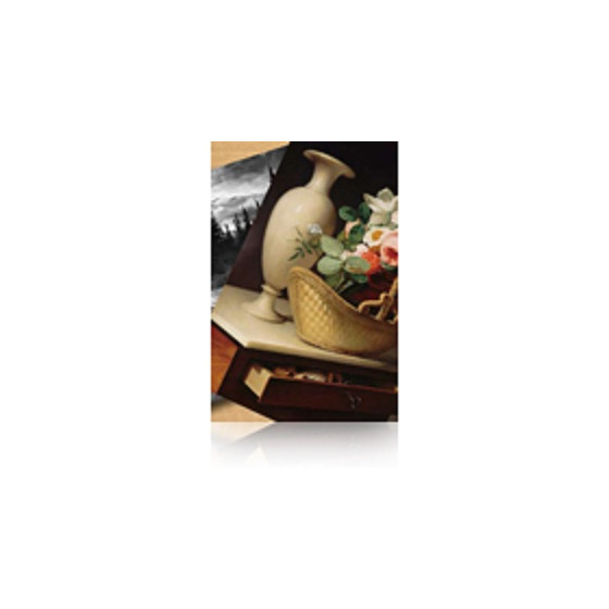 Epson Pap Photo Premium Lustré (260) 260g 60" (1,524x30,5m) (C13S042134)