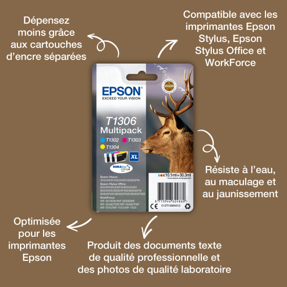 Epson T1301 – Encre noire DURABrite Ultra (C13T13014022)