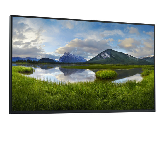 Écran Dell Pro 27 Plus - P2725H sans socle