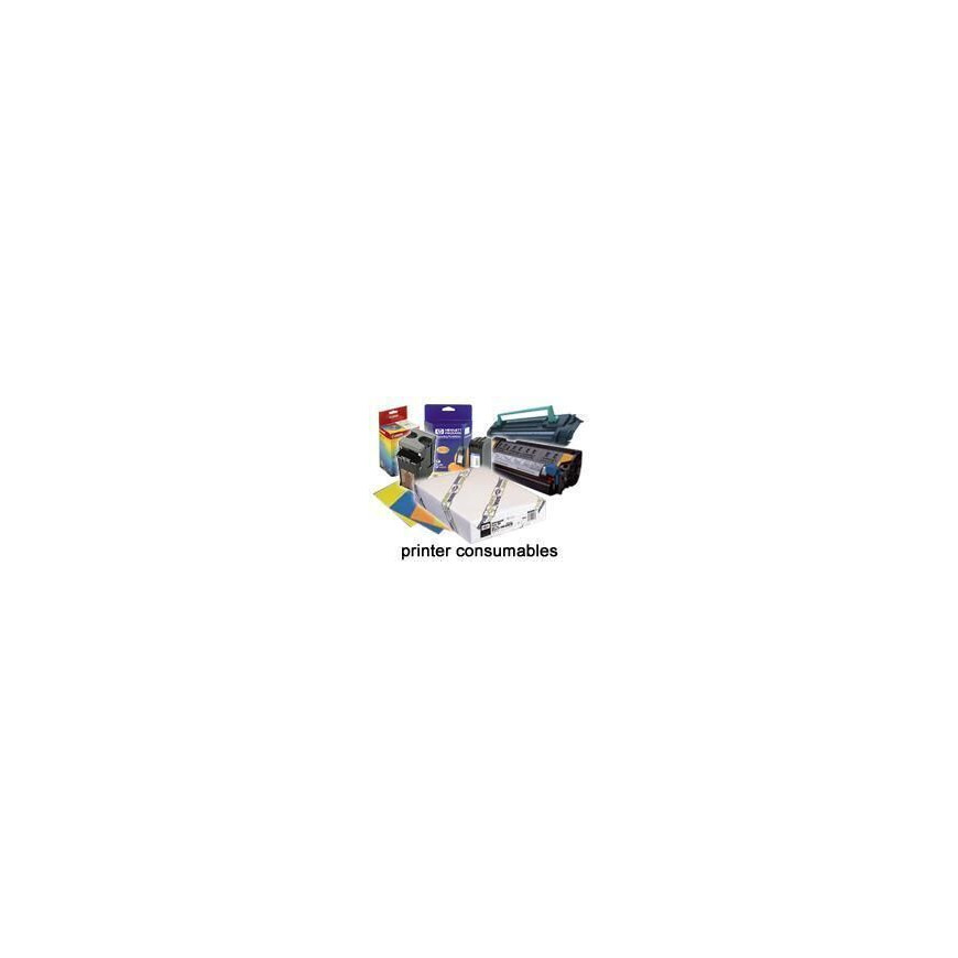 Epson Pap Photo Premium Glacé 250 – Papier photo glacé en rouleau (C13S041640)