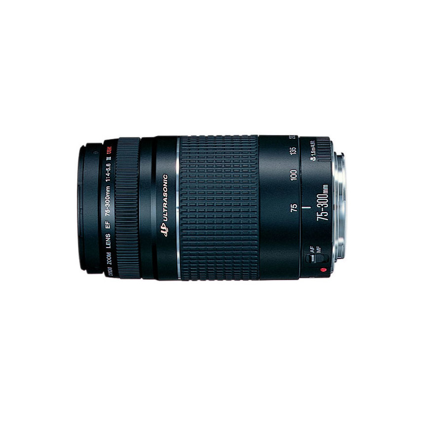 Appareil photo Canon EOS 4000D + objectif EF-S 18-55mm III + objectif EF-S 75-300mm III