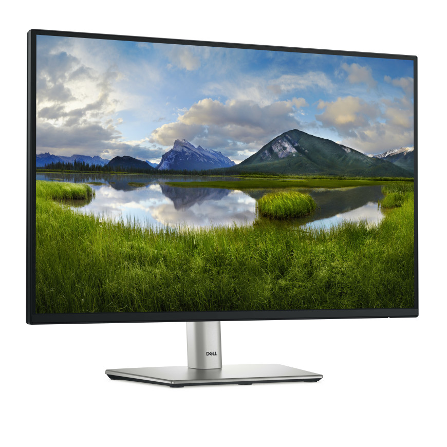 Écran 16:10 avec hub USB-C Dell Pro 24 Plus - P2425E