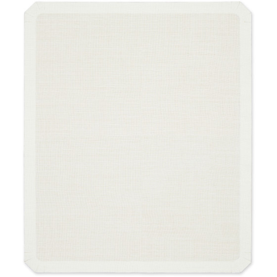 Epson Platen Grip Pad - Accessoire d'impression (C13S210077)