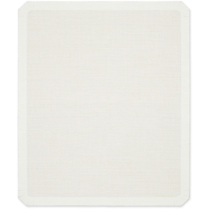 Epson Platen Grip Pad - Accessoire d'impression (C13S210077)