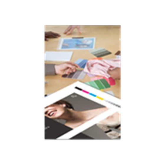 Epson Proofing Paper White Semimatte 256g – Papier d'épreuvage blanc semi-mat (C13S042002)