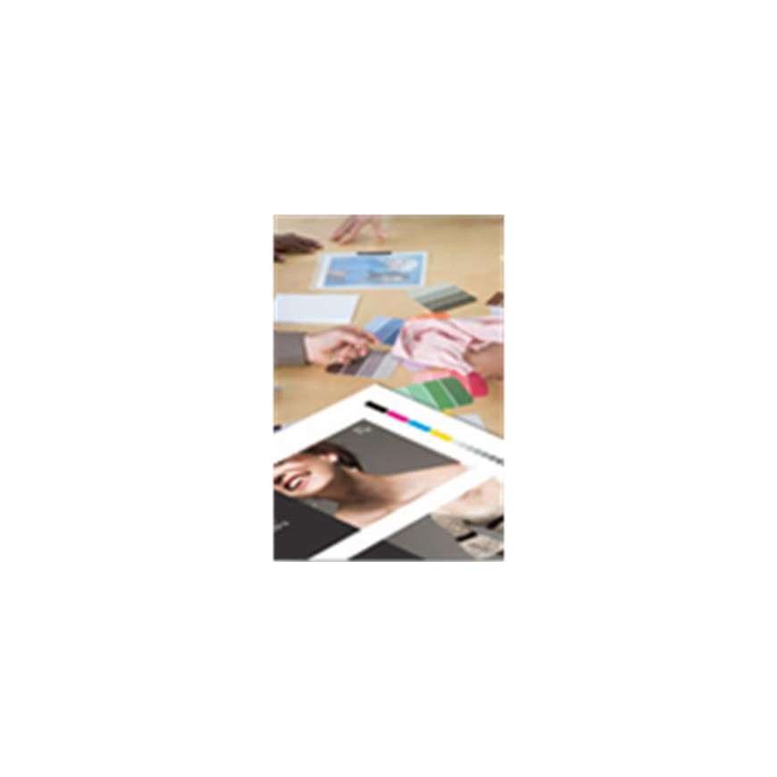 Epson Proofing Paper White Semimatte 256g – Papier d'épreuvage blanc semi-mat (C13S042002)